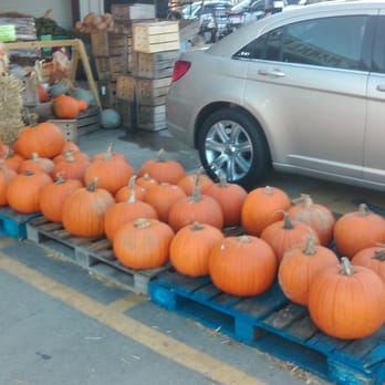 Brookway Market Basket - Pumpkins, pumpkins and more pumpkins... - Seafood Markets Near Me - Brookhaven, Mississippi Brookway Market Basket - Pumpkins, pumpkins and more pumpkins... - Seafood Markets Near Me - Brookhaven, Mississippi
