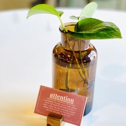 Americana Coffee & Espresso Bar - Attention