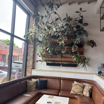 Hudson Hill - Cocktail Bars Near Me - Denver, Colorado