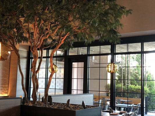 Boathouse Asian Eatery Las Vegas by null