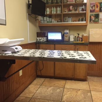 Springtown Veterinary Hospital - Exam room - Veterinarians Near Me - San Marcos, Texas Springtown Veterinary Hospital - Exam room - Veterinarians Near Me - San Marcos, Texas