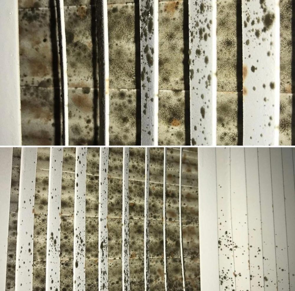 Healthy Indoor Professionals - mold inspector in Los Angeles, CA