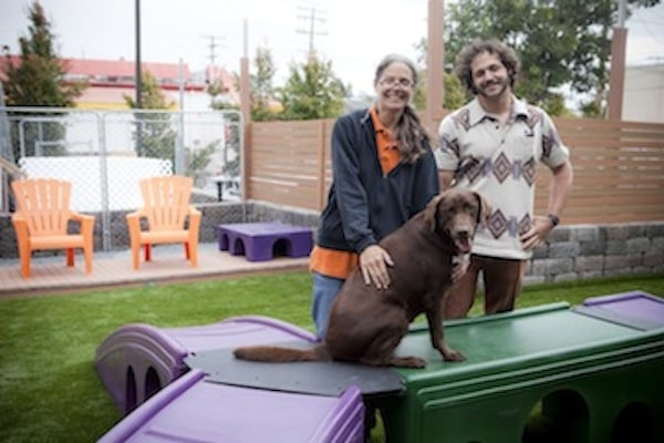 Bark Boulevard - pet boarding facility in San Diego, CA