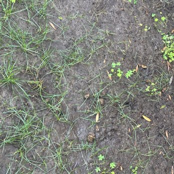 SimpleScape Lawn & Garden Maintenance - Masonry/Concrete Near Me SimpleScape Lawn & Garden Maintenance - Masonry/Concrete Near Me