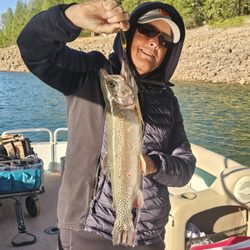 Antlers Resort & Marina