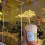 La Boba Sd