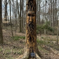 The Hart County Botanical Garden - Carved Tree
