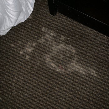 Quality Inn - Nasty Carpet! - Hotels Near Me - Conway, South Carolina Quality Inn - Nasty Carpet! - Hotels Near Me - Conway, South Carolina