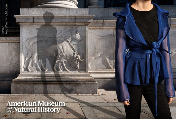 American Museum of Natural History by null