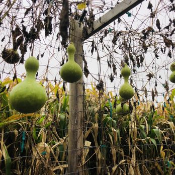 Holmberg Orchards - Fruits & Veggies Near Me - Gales Ferry, Connecticut