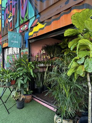 Wynwood Marketplace by null