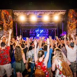 Wildflower Arts & Music Festival