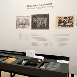 Horst-Janssen-Museum - Die neue Dauerausstellung zum Horst Janssens Leben und Werk. Foto: Andrey Gradetchliev