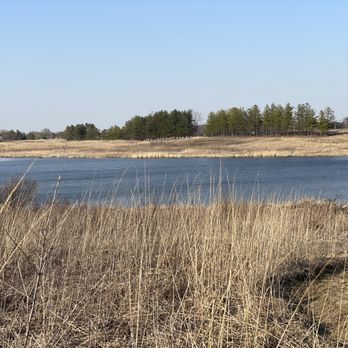 Cuba Marsh Forest Preserve - Parks Near Me - Deer Park, Illinois Cuba Marsh Forest Preserve - Parks Near Me - Deer Park, Illinois