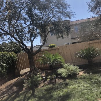 Travis Tree Service - Tree Services Near Me - Fresno, California Travis Tree Service - Tree Services Near Me - Fresno, California