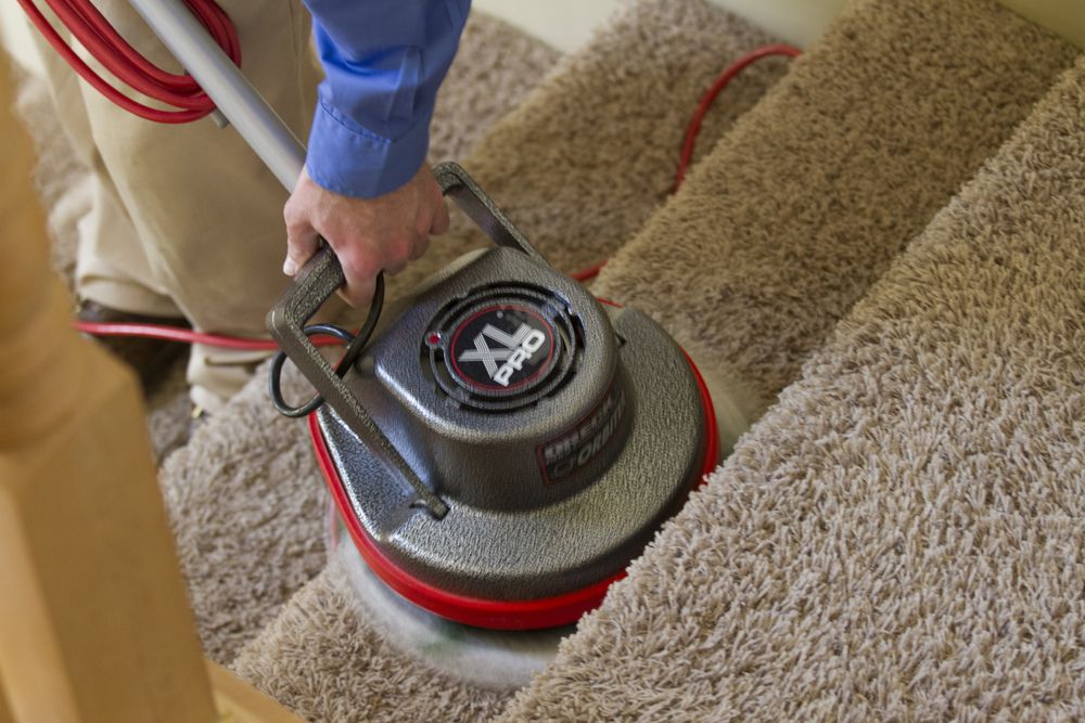 HEAVEN’S BEST CARPET CLEANING HELENA Updated March 2024 19 Photos