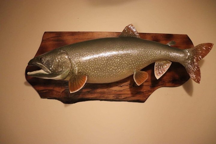 Driftwood Taxidermy - taxidermy in Watertown, WI