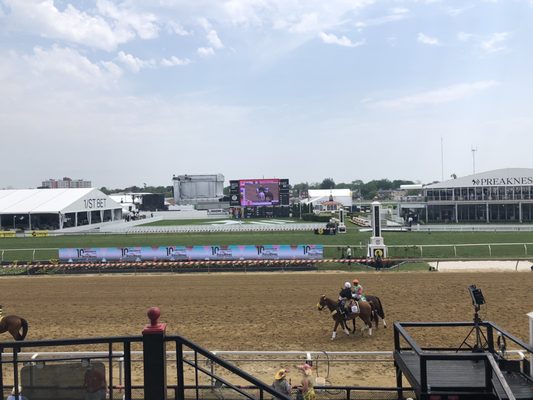 Pimlico Race Course by null