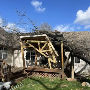 Reese Tree Service - Reese Tree Service 417-840-3093 - Tree Services Near Me - Marshfield, Missouri Reese Tree Service - Reese Tree Service 417-840-3093 - Tree Services Near Me - Marshfield, Missouri