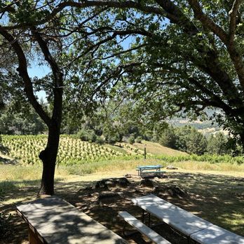 Story Winery - More views - Wineries Near Me - Plymouth, California Story Winery - More views - Wineries Near Me - Plymouth, California