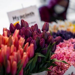 Seattle Trip - Memorial Weekend 2011