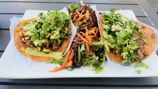 Trilogy Sanctuary by null