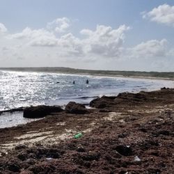 Playa Publica - Playa Publica