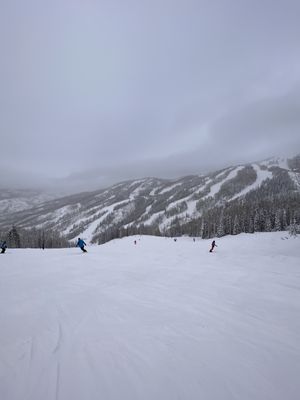 Steamboat Ski Resort by null