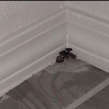 Miracles cleaning service - Debris and stain on tile floor in bathroom - Home Cleaning Near Me