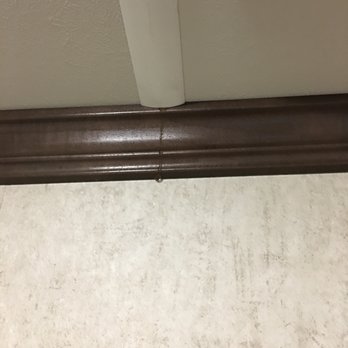 Forest River - Roof leak - RV Dealers Near Me - Elkhart, Indiana