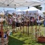 Photo of Annual Oak Island Art Guild Arts & Craft Festival