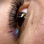 BrowsandLashesbyLauren