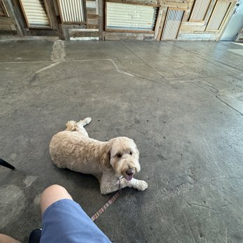 Chromatic Coffee - Dog friendly - Coffee Roasteries Near Me - San Jose, California Chromatic Coffee - Dog friendly - Coffee Roasteries Near Me - San Jose, California