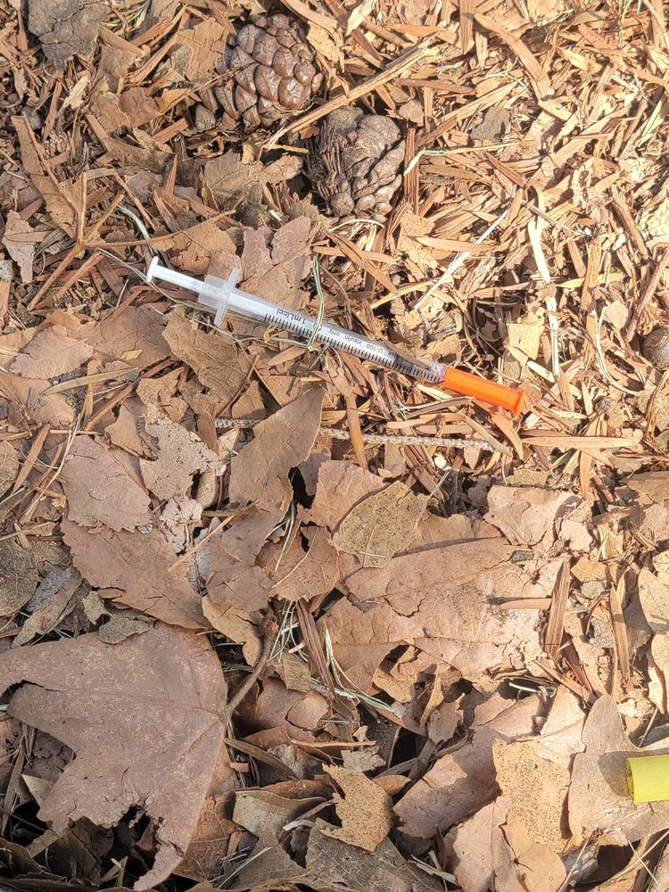 SYCAMORE GROVE PARK Updated September 2024 60 Photos & 25 Reviews