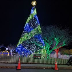 Winterfest Of Lights