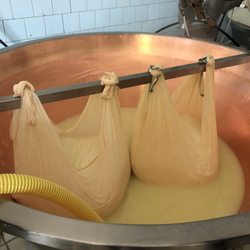 Tasty Bus Tour - Making Parmigiano-Reggiano