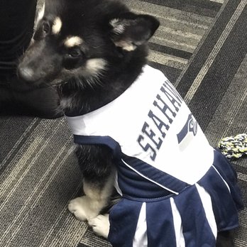 Paws Afoot - Pet Training Near Me