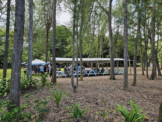 Kahana Bay Beach Park by null