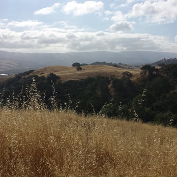 Coyote Valley Open Space Preserve - Hiking Near Me - Morgan Hill, California Coyote Valley Open Space Preserve - Hiking Near Me - Morgan Hill, California
