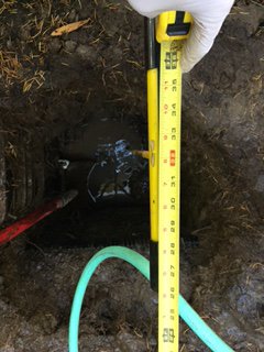 Agent Leak Detection