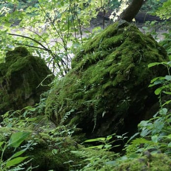 Clifton Gorge - Mossy rock - Hiking Near Me - Yellow Springs, Ohio Clifton Gorge - Mossy rock - Hiking Near Me - Yellow Springs, Ohio