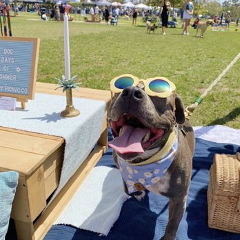 Puppy Picnic - Party & Event Planning Near Me - Encinitas, California Puppy Picnic - Party & Event Planning Near Me - Encinitas, California