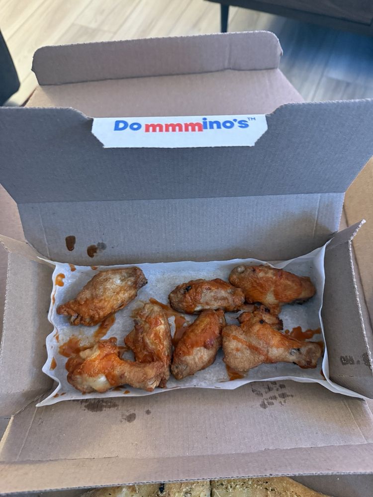 Domino's Pizza Logo