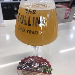 Collins Taproom - IPA