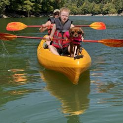 Nantahala Outdoor Center - Kayaking with the kids and dogs.