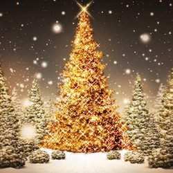 Pruitt's Little Farm - Keep the spirit of Christmas all year long!