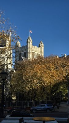 City College Center for the Arts