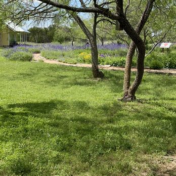 Acton Nature Center - Long shot of the garden near the blind. - Hiking Near Me - Granbury, Texas