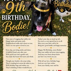 Kathyspets.com - Kathy created this birthday celebration for our dog. Kathy goes above and beyond for your pets!