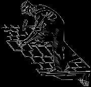 Walter Strauss Roofing Logo